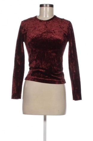 Damen Shirt Onyx, Größe S, Farbe Braun, Preis 9,72 €
