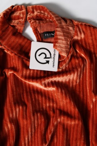 Γυναικεία μπλούζα Pescara, Μέγεθος XL, Χρώμα Καφέ, Τιμή 6,46 €