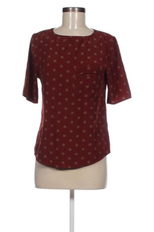 Γυναικεία μπλούζα Sud Express, Μέγεθος M, Χρώμα Καφέ, Τιμή 24,57 €