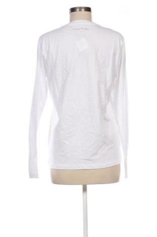 Damen Shirt Teddy Smith, Größe S, Farbe Weiß, Preis € 39,69