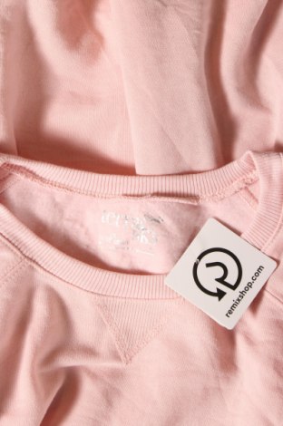 Damen Shirt Terra & Sky, Größe XL, Farbe Rosa, Preis € 7,93