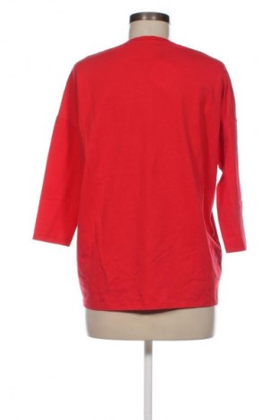 Damen Shirt Zaggora, Größe M, Farbe Rot, Preis 3,99 €