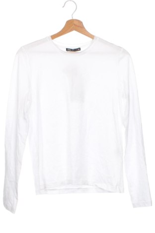 Damen Shirt Zara, Größe XS, Farbe Weiß, Preis € 31,71