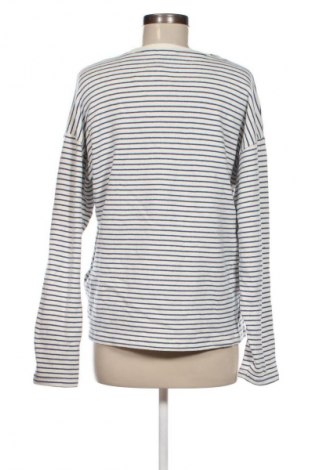 Damen Shirt Zara, Größe M, Farbe Weiß, Preis € 18,79