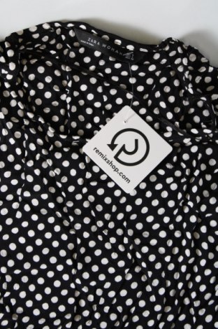 Damen Shirt Zara, Größe L, Farbe Mehrfarbig, Preis 9,40 €