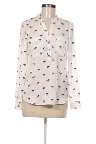 Γυναικεία μπλούζα Zara, Μέγεθος XS, Χρώμα Λευκό, Τιμή 16,70 €