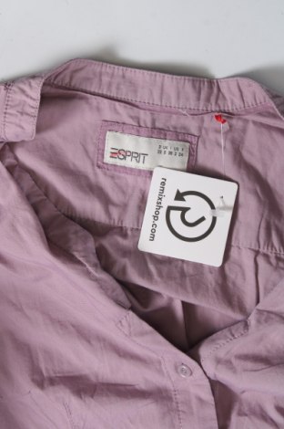 Dámska košeľa  Esprit, Veľkosť XXS, Farba Fialová, Cena  9,91 €