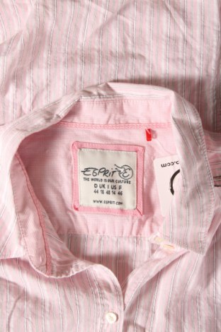 Γυναικείο πουκάμισο Esprit, Μέγεθος XL, Χρώμα Ρόζ , Τιμή 11,57 €