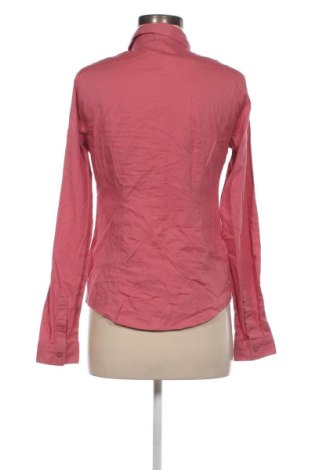 Damenbluse Terranova, Größe L, Farbe Rosa, Preis 4,99 €