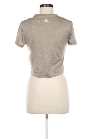 Damen T-Shirt Adidas, Größe S, Farbe Beige, Preis € 18,79