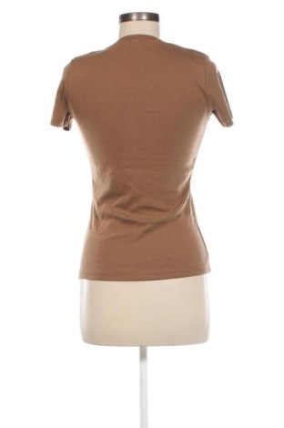 Damen T-Shirt Montego, Größe M, Farbe Braun, Preis 6,79 €