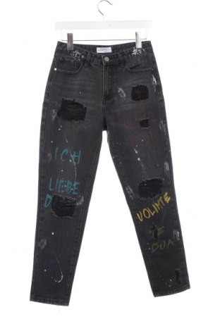 Damen Jeans Redial, Größe XS, Farbe Grau, Preis 20,97 €