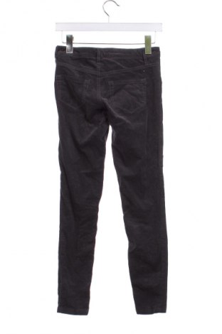 Pantaloni de velvet de femei United Colors Of Benetton, Mărime XS, Culoare Gri, Preț 39,99 Lei