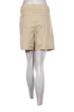 Damen Shorts Ann Taylor, Größe XXL, Farbe Beige, Preis 8,99 €