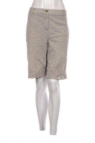 Γυναικείο κοντό παντελόνι Charter Club, Μέγεθος XL, Χρώμα Πολύχρωμο, Τιμή 12,62 €
