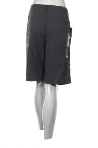 Damen Shorts Cloudveil, Größe XL, Farbe Grau, Preis 15,59 €