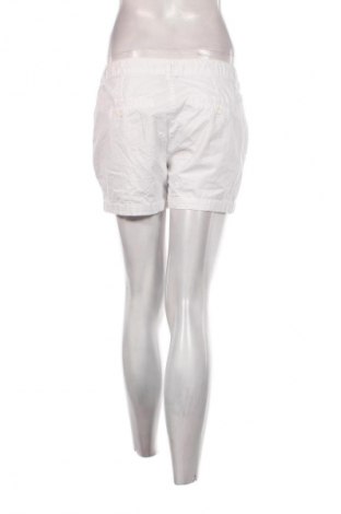 Γυναικείο κοντό παντελόνι Colours Of The World, Μέγεθος M, Χρώμα Λευκό, Τιμή 11,75 €
