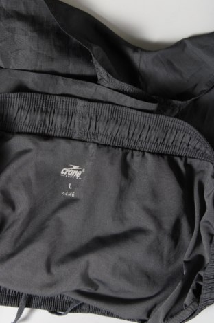 Damen Shorts Crane, Größe XL, Farbe Grau, Preis 5,29 €