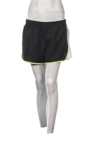 Γυναικείο κοντό παντελόνι Danskin, Μέγεθος L, Χρώμα Γκρί, Τιμή 4,70 €