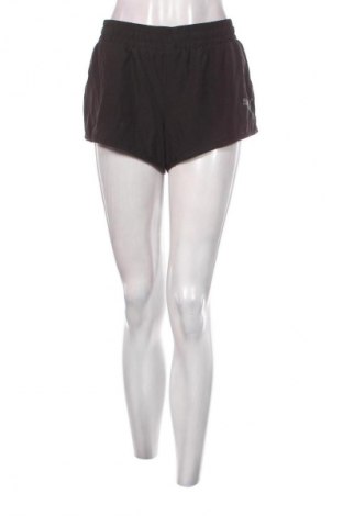 Damen Shorts PUMA, Größe L, Farbe Schwarz, Preis € 13,01