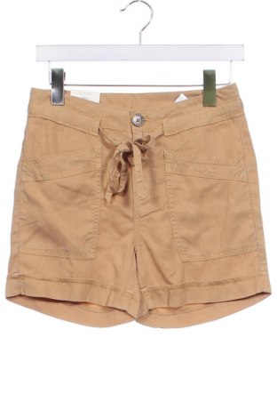 Damen Shorts Pepe Jeans, Größe XXS, Farbe Beige, Preis 27,84 €