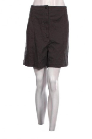 Γυναικείο κοντό παντελόνι Saba, Μέγεθος XL, Χρώμα Γκρί, Τιμή 16,33 €