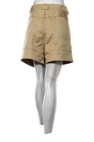 Damen Shorts Sportif, Größe XL, Farbe Beige, Preis 12,69 €