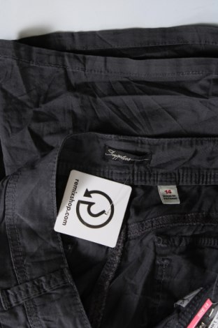 Damen Shorts Supplies, Größe XL, Farbe Grau, Preis € 21,57