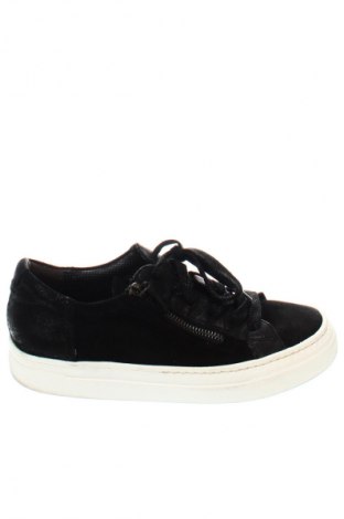Γυναικεία παπούτσια Paul Green, Μέγεθος 37, Χρώμα Μαύρο, Τιμή 55,05 €