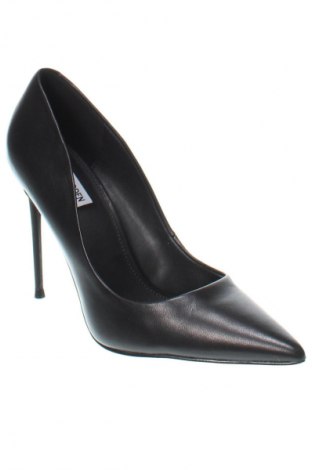 Γυναικεία παπούτσια Steve Madden, Μέγεθος 41, Χρώμα Μαύρο, Τιμή 62,78 €