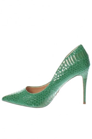 Γυναικεία παπούτσια Steve Madden, Μέγεθος 43, Χρώμα Πράσινο, Τιμή 66,50 €