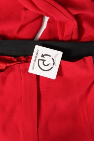Damenhose, Größe L, Farbe Rot, Preis 9,00 €