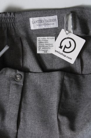 Γυναικείο παντελόνι, Μέγεθος L, Χρώμα Γκρί, Τιμή 27,70 €