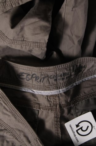 Γυναικείο παντελόνι Esprit, Μέγεθος M, Χρώμα Καφέ, Τιμή 11,41 €