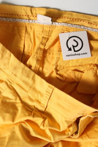 Damskie spodnie Esprit, Rozmiar XL, Kolor Pomarańczowy, Cena 131,14 zł