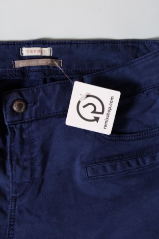 Damenhose Esprit, Größe M, Farbe Blau, Preis € 28,53