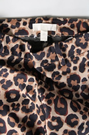 Damenhose H&M, Größe S, Farbe Mehrfarbig, Preis 9,08 €