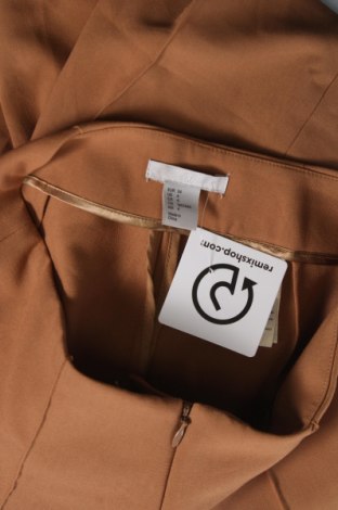 Damenhose H&M, Größe XS, Farbe Beige, Preis 9,08 €