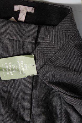 Dámske nohavice H&M, Veľkosť XXL, Farba Sivá, Cena  15,65 €