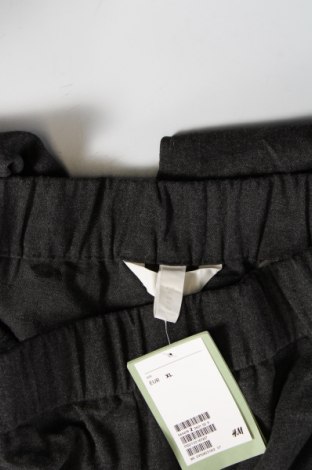 Дамски панталон H&M, Размер XL, Цвят Сив, Цена 23,00 лв.