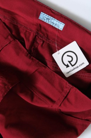 Damenhose Himmelblau by Lola Paltinger, Größe M, Farbe Rot, Preis € 28,79