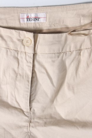 Damenhose Linea Tesini, Größe XL, Farbe Beige, Preis 13,99 €