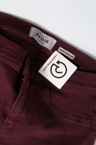 Damenhose New Look, Größe M, Farbe Rot, Preis € 6,99