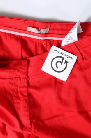 Damenhose Orsay, Größe S, Farbe Rot, Preis 14,84 €