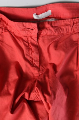 Damenhose Promod, Größe XL, Farbe Rosa, Preis € 11,79