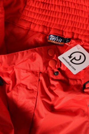 Damenhose für Wintersport Crivit, Größe M, Farbe Rot, Preis € 12,21