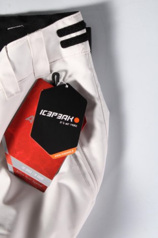 Pantaloni de damă pentru sporturi de iarnă Icepeak, Mărime M, Culoare Alb, Preț 315,99 Lei