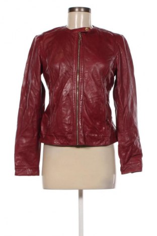 Damen Lederjacke Massimo Dutti, Größe M, Farbe Rot, Preis 86,50 €