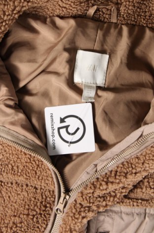 Γυναικείο παλτό H&M, Μέγεθος M, Χρώμα Καφέ, Τιμή 41,04 €