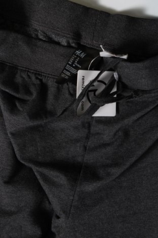 Γυναικείο αθλητικό παντελόνι H&M, Μέγεθος M, Χρώμα Γκρί, Τιμή 8,97 €